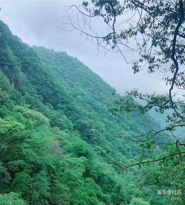 【春日踏青季】郊游