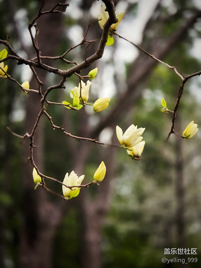 上海星部落3月29日閔行文化公園線下攝影活動(dòng)回顧帖