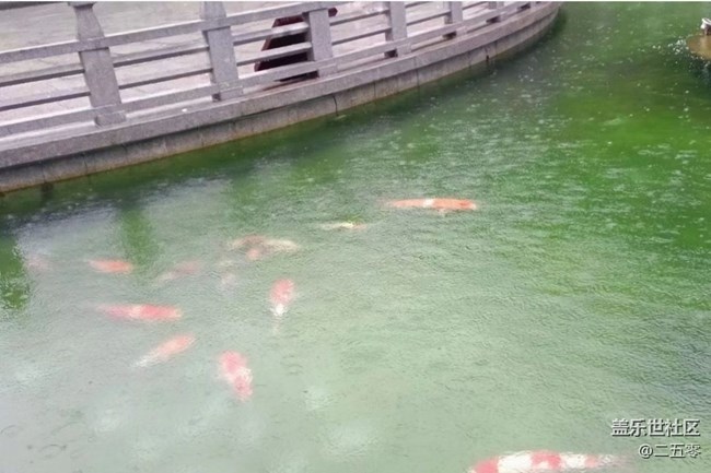 【春日踏青季】春雨