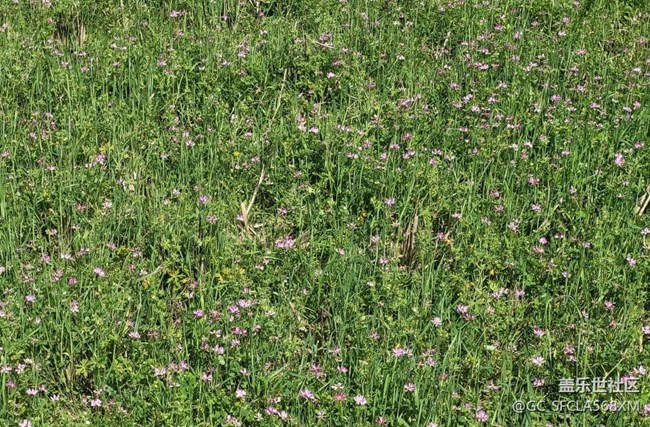 【春日踏青季】綠油油的青山