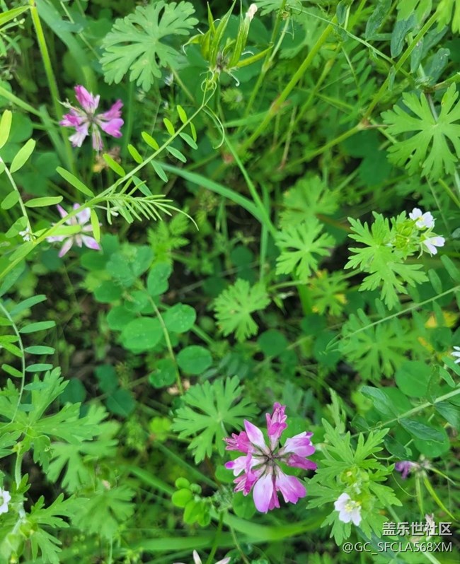 【春日踏青季】綠油油的青山