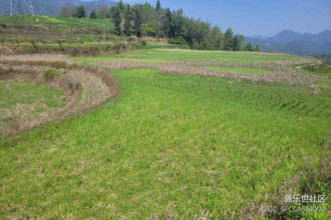【春日踏青季】綠油油的青山