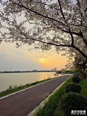 【生機(jī)盎然的世界】+春意