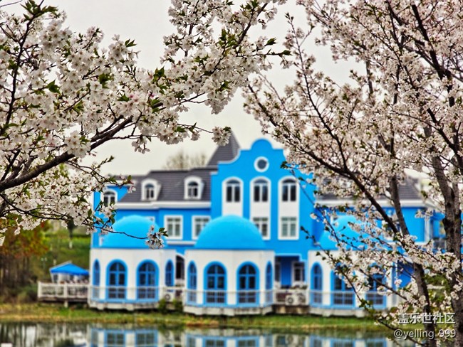 上海星部落3月29日閔行文化公園線下攝影活動(dòng)回顧帖