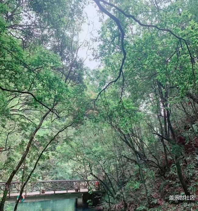 【春日踏青季】郊游