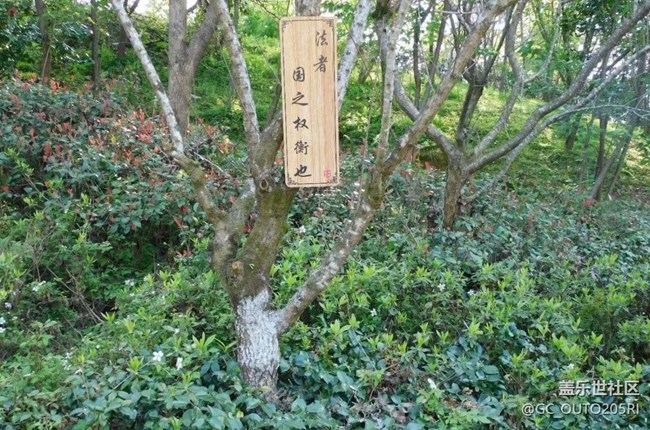 【春日踏青季】拍花