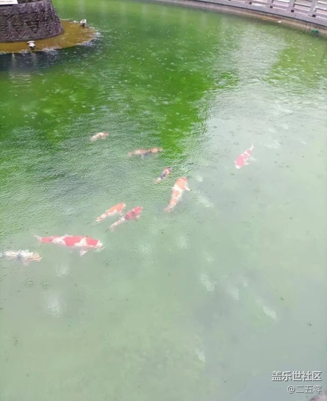 【春日踏青季】春雨