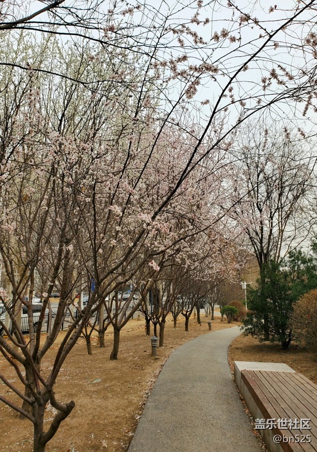 【約定3月的旅行】+一路花開