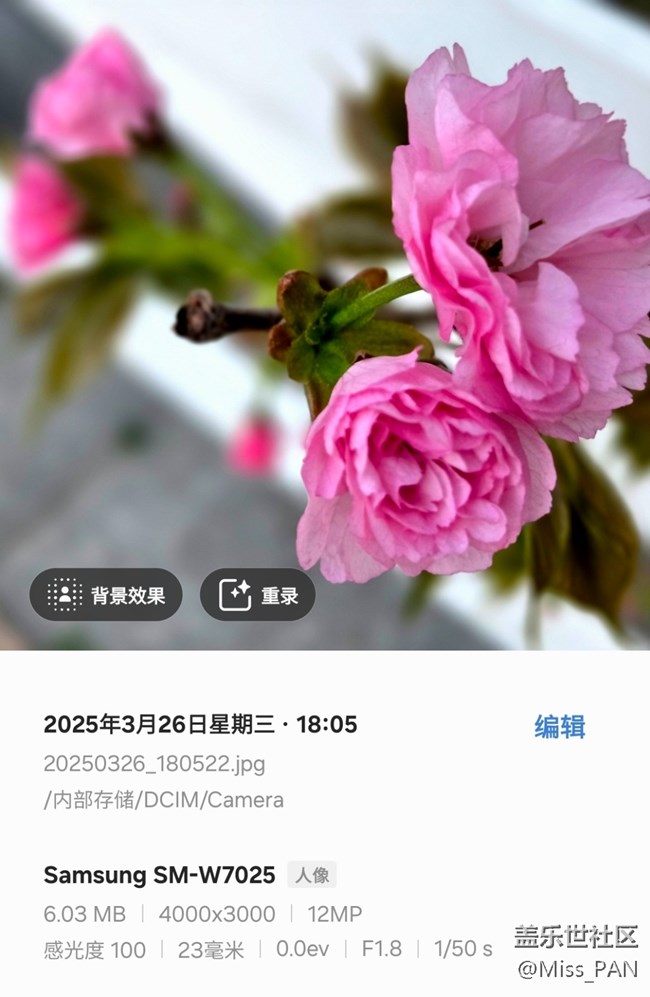 【3月照片核實】