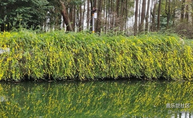 【春日踏青季】公園游