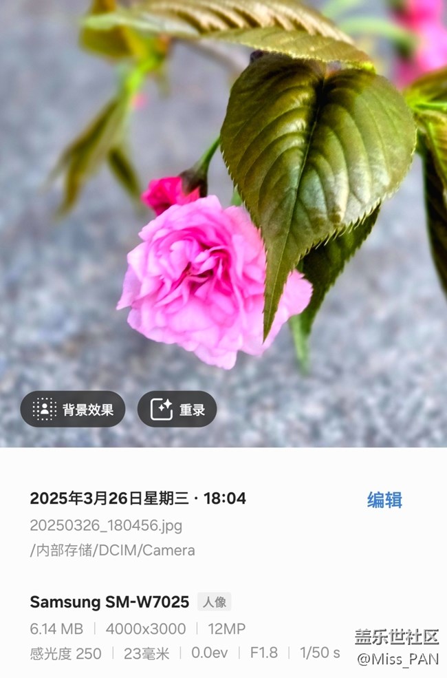 【3月照片核實】