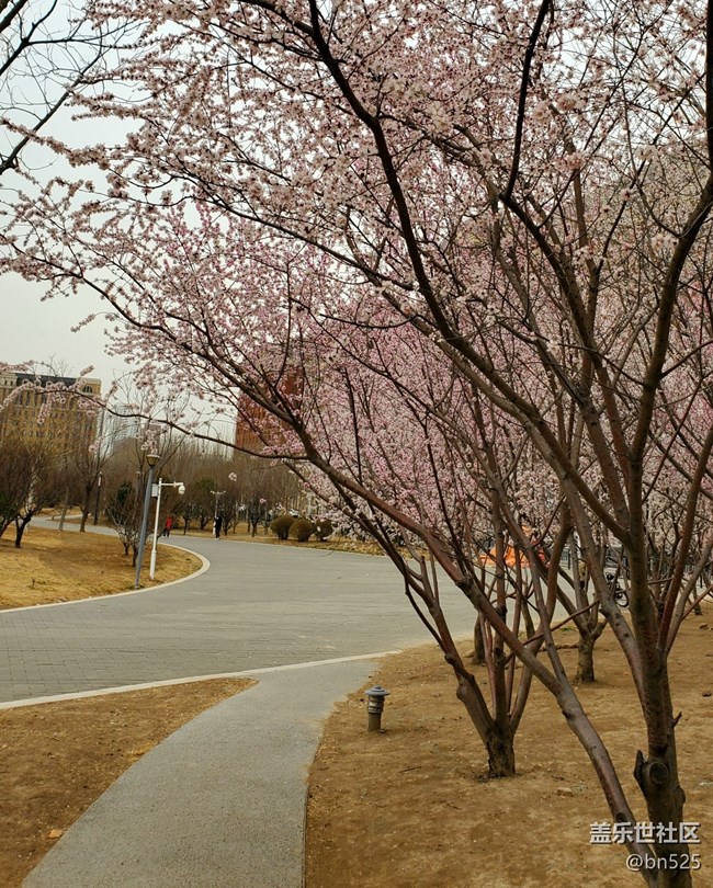 【約定3月的旅行】+一路花開