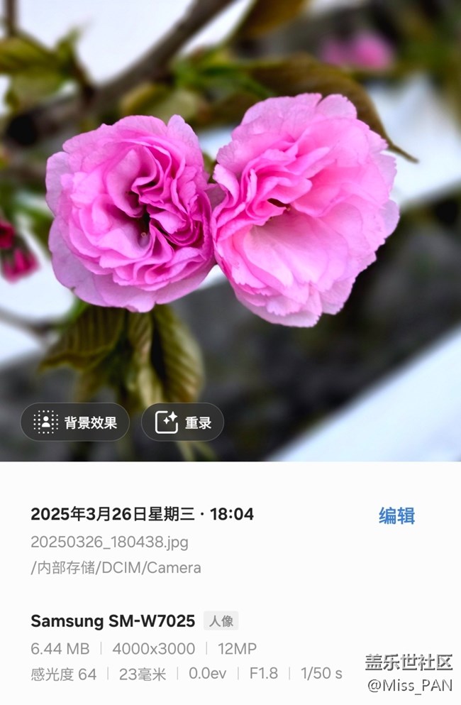 【3月照片核實】