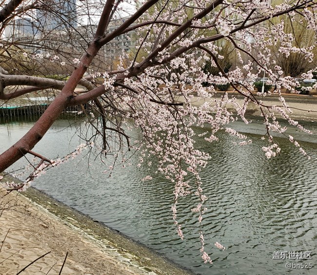 【約定3月的旅行】+一路花開