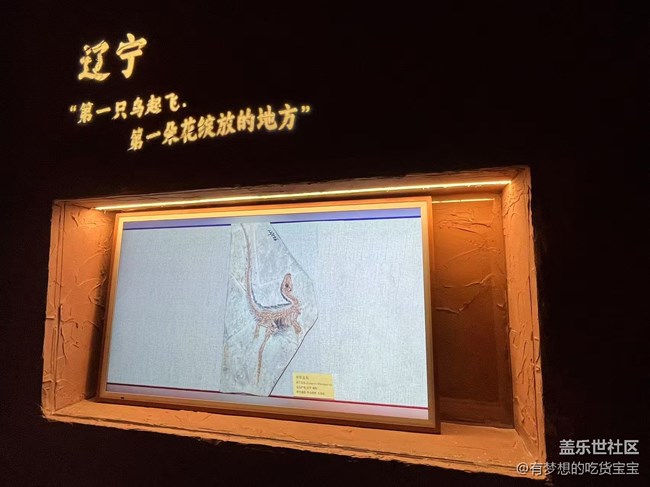 遼寧名品沉浸式藝術(shù)展游覽及三星手機攝影回顧貼