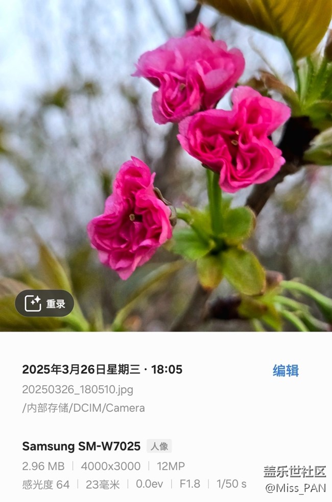 【3月照片核實】