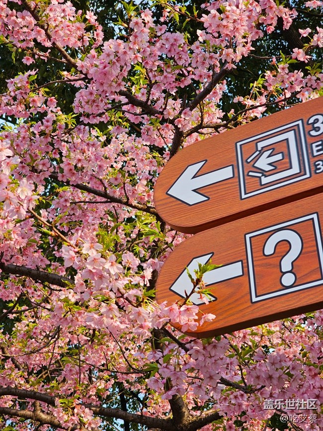 【Z版四月第一周】清明踏春季