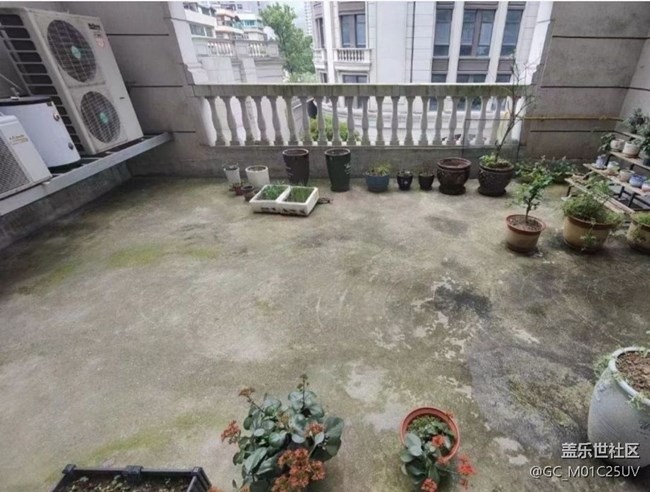 【春日踏青季】后花園