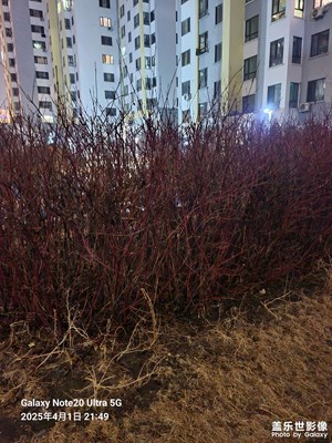 【生機盎然的世界】+春天來了