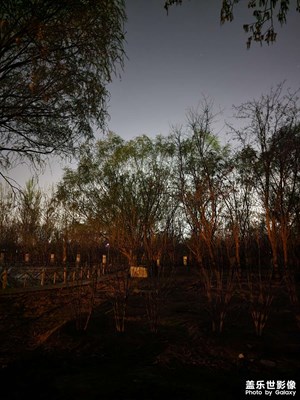 春之夜 春夜隨拍