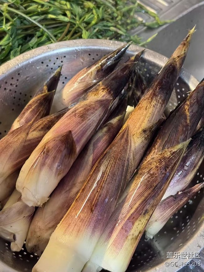 【春日踏青季】打野