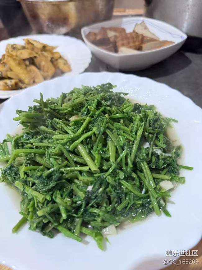 【春日踏青季】打野