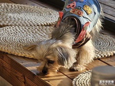 鏡頭里的小美好