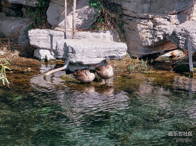 濟南星部落明水古城拍攝活動回顧與美圖分享