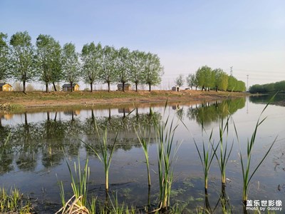 【生機盎然的世界】陽春三月