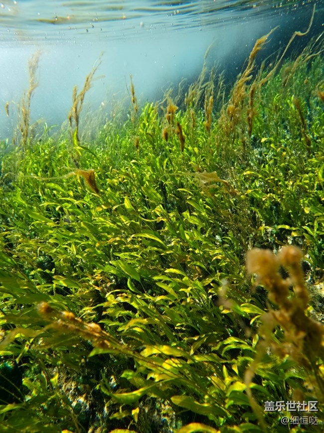 濟南星部落明水古城拍攝活動回顧與美圖分享