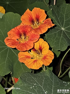 【春之夜】三月春夜記錄