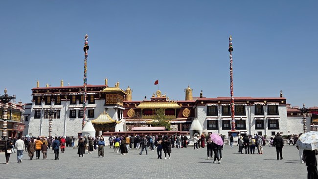 S25+ 入手后的第一張照片，這個(gè)色彩終于是我喜歡的了