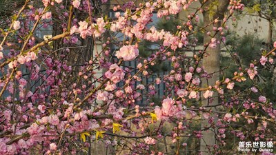 【生機盎然的世界】+花間物語