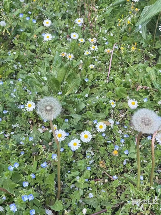 【春日踏青季】打野
