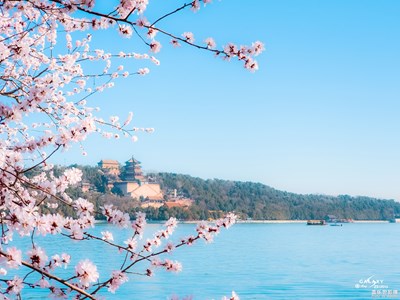 Galaxy S23 Ultra 春和景明