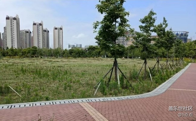 【春游記】城市一角