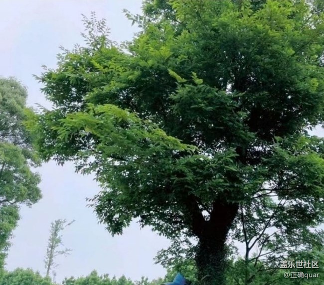 【春日盛景】春日草場
