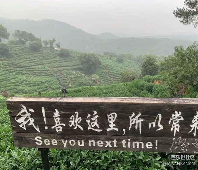 【春日盛景】茶園