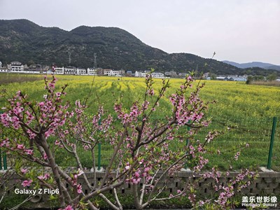 【生機(jī)盎然的世界】綠色的世界