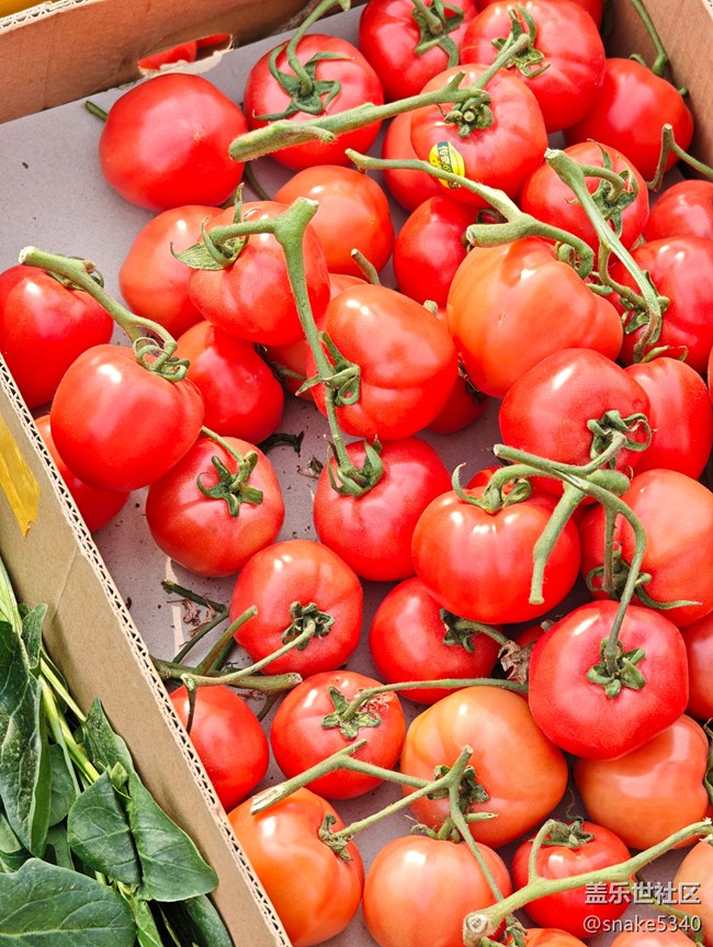 【春天的故事】+菜市場(chǎng)