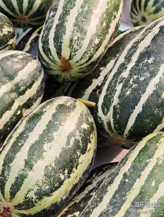 【春天的故事】+菜市場(chǎng)