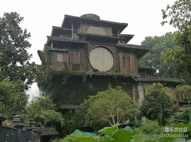 【春日盛景】茶園
