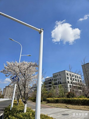 今天中午吃飯路過拍的，天氣很棒，就是要上班????