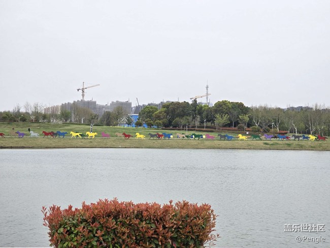 【閔行文化公園線下攝影活動(dòng)】+活動(dòng)回顧貼