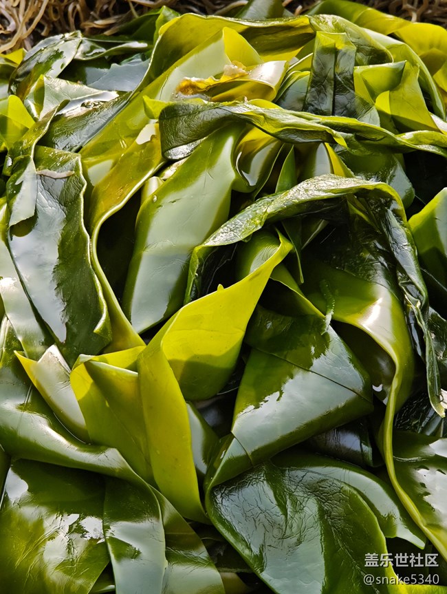 【春天的故事】+菜市場(chǎng)