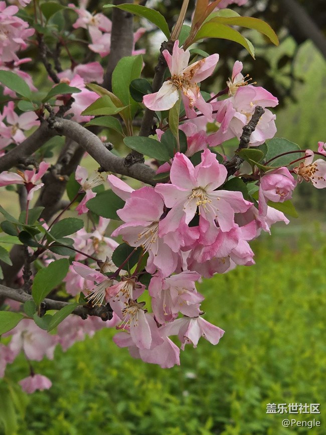 【閔行文化公園線下攝影活動(dòng)】+活動(dòng)回顧貼