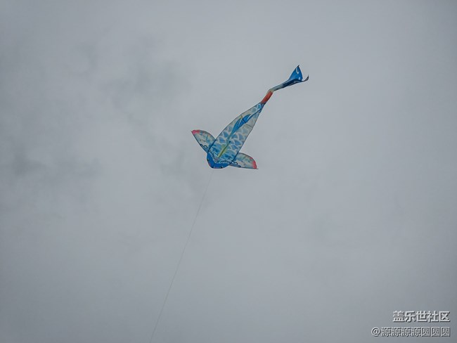 【鏡映江風(fēng)】 武漢星部落活動(dòng)總結(jié)帖