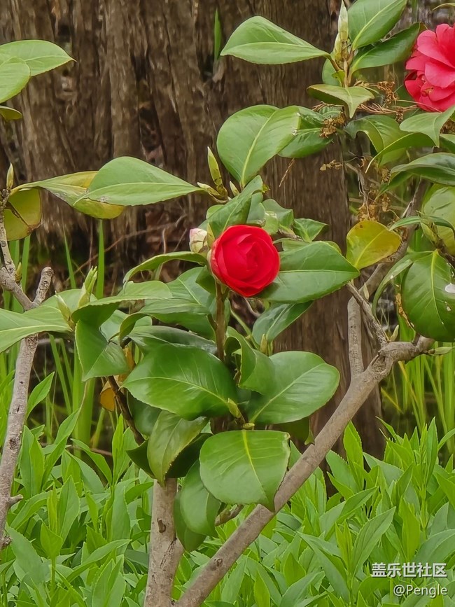 【閔行文化公園線下攝影活動(dòng)】+活動(dòng)回顧貼