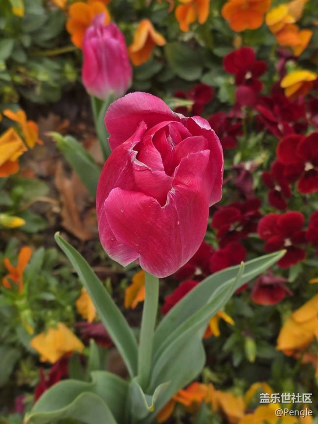 【閔行文化公園線下攝影活動(dòng)】+活動(dòng)回顧貼