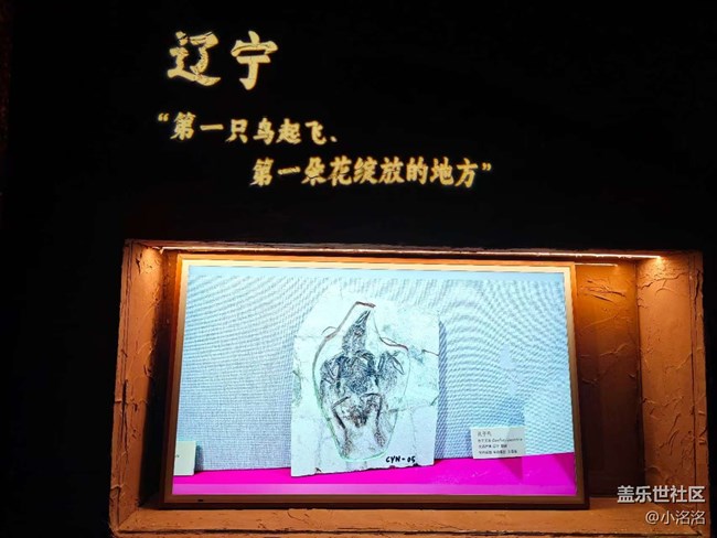 遼寧名品數(shù)字展行行攝攝活動(dòng)回顧